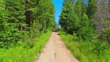 Güneşli yaz keşfi macerası sırasında toprak yolun manzaralı arka plan plakası. Batı Kanada 'da dağdan aşağı çamurlu bir yoldan gidiyorum. Kuzey Amerika kırsal kesimde seyahat ediyor. POV.