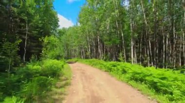 Medeniyetin Crown Land 'inden uzakta kirli, çamurlu, kumlu bir yolda arka plan levhası. Yolcuların görüntüsü geri vites plakası. Kanada 'nın yolları. Kanada dağlarının yolu, kırsal macera manzarası.