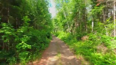 Kuzey Vancouver, BC, Kanada 'da Crown Land kırsal kesiminde araba plakası. POV sürüş plakası kayalık çakıl off-road, vahşi doğa manzarası, çamurlu kil ve kumlu taş yüzey.