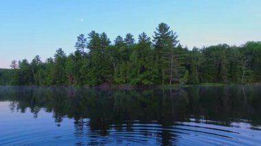 Pov panoramik manzara. Sabahın erken saatlerinde şafak sökerken kayıktan alacakaranlıkta balık tutarken yavaşça trolleniyorlar. Yoğun çam ağaçlarıyla çevrili rahatlatıcı bir ortam. Vancouver 'da göl çekimi.
