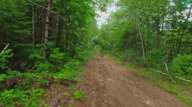 Kuzey Vancouver, BC, Kanada 'da Crown Land kırsal kesiminde araba plakası. POV sürüş plakası kayalık çakıl off-road, vahşi doğa manzarası, çamurlu kil ve kumlu taş yüzey.