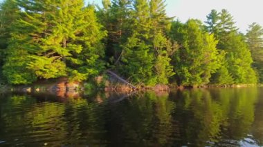 Muhteşem gün doğumu güneş ışığı etrafını çevreleyen köknar ormanına sızıyor. Kuzey Amerika 'daki güzel göl manzarası. Sessiz Göl 'de Kanada doğasının tatil köyü, balık avı ve dinlendirici çevre.