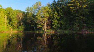 Muhteşem gün doğumu güneş ışığı etrafını çevreleyen köknar ormanına sızıyor. Kuzey Amerika 'daki güzel göl manzarası. Sessiz Göl 'de Kanada doğasının tatil köyü, balık avı ve dinlendirici çevre.