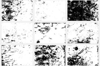Grunge antik kağıt kaplama seti. Eski desenli tozlu düz kağıt. Kaligrafi kayıtları ve kitap yapımı için bir takım kirli belgeler. Eski cadı kitabı çamurda boş sayfalar. 