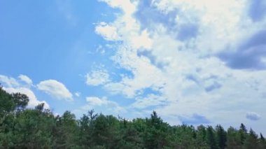 Sürücü plakası sol ön sürücü bakış açısı. Araba parkı. Sürücü penceresi manzaralı. ON-11, Burk Şelalesi, Pickerel Gölü POV Ontario Karayolu 11 'de, yemyeşil ormanları geçiyor..