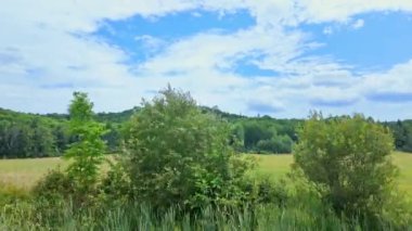 Sürücü plakası sol ön sürücü bakış açısı. Araba parkı. Sürücü penceresi manzaralı. ON-11, Burk Şelalesi, Pickerel Gölü POV Ontario Karayolu 11 'de, yemyeşil ormanları geçiyor..