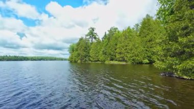 Bancroft, Kuzey Ontario, Kanada 'da yaz gölü. Sulak alanların vahşi doğasının güzel sihirli manzarası. Sessiz sakin ve sakin bir meditasyon noktası. Yazın doğa manzarası.