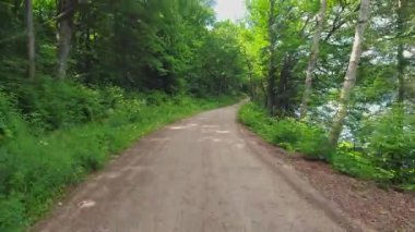 Yeşil çam ormanındaki çakıl yolu sıcak temmuz ayının arka plan manzaralı. Kuzey yaban hayatında kontrol edilmemiş çakıl topraklarını gezmek güzel manzaraları ortaya çıkarır. Seyahat deneyimleri ve manzaralı yollar.