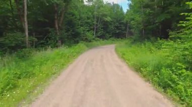 Temmuz ayındaki Forest POV plakası arasında çakıllı kır yolu boyunca araba sürüyor. Güzel yaz ormanı, vahşi yeşil çam köknarı ve yemyeşil arasındaki çakıllı toprak yol. Kanada 'da kraliyet arazisi ve macera.