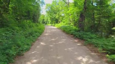 Yeşil çam ormanındaki çakıl yolu sıcak temmuz ayının arka plan manzaralı. Kuzey yaban hayatında kontrol edilmemiş çakıl topraklarını gezmek güzel manzaraları ortaya çıkarır. Seyahat deneyimleri ve manzaralı yollar.