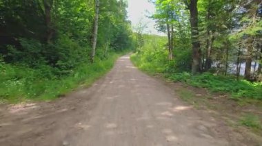 Yeşil çam ormanındaki çakıl yolu sıcak temmuz ayının arka plan manzaralı. Kuzey yaban hayatında kontrol edilmemiş çakıl topraklarını gezmek güzel manzaraları ortaya çıkarır. Seyahat deneyimleri ve manzaralı yollar.