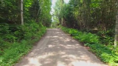 Arka plaka, doğal güzellik ve macera sergiliyor. Ontario Kanada 'nın kraliyet arazisinin yakınından geçen çakıl yolu ve vahşi doğa manzarası. Dağ yolunda yolculuk. Toprak yol ve off yol.