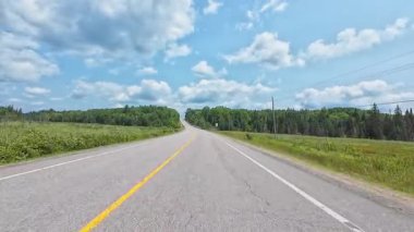 Kanada ormanlarından geçen bir otoyolun güzel yaz manzarası. Kamp minibüsüyle seyahat ederken sahne sürücüsü POV ön plakası. Kanada 'da motorlu karavandan asfalt yolda araba sürerken..