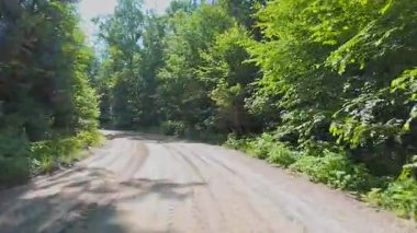 Sürücü plakası, doğal güzellik ve macera sergiliyor. Çakıl yolu ve vahşi doğa boyunca birinci şahıs manzarası Ontario Kanada 'nın kraliyet arazisinin yakınından geçiyor. Dağlık yolda yolculuk.