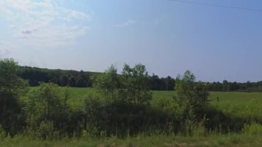 Arabayla gezintiye çıkmak, yan plaka, sürücü bakış açısı. Kır evindeki asfalt yol. Karavanla aile tatili, tatil ve macera seyahati Motorize Karavanda, Kanada.