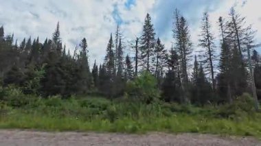 Kanada ormanları boyunca çakıl yolu ve ormanın güzel yaz manzarası. Kamp aracıyla seyahat ederken olay yeri yolcusu plakası. Kanada 'nın motorlu karavanından toprak yolda giderken.
