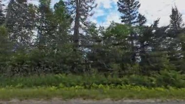 Kanada ormanları boyunca çakıl yolu ve ormanın güzel yaz manzarası. Kamp aracıyla seyahat ederken olay yeri yolcusu plakası. Kanada 'nın motorlu karavanından toprak yolda giderken.