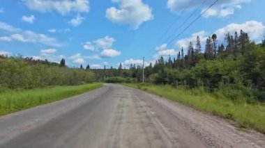 Temmuz ayındaki Forest POV ön plakası arasında çakıllı kır yolu boyunca araba sürüyor. Güzel yaz ormanları, vahşi yeşil çam ağaçları ve yemyeşil ağaçlar arasındaki köy yolu. Kanada 'da kraliyet arazisi ve macera.