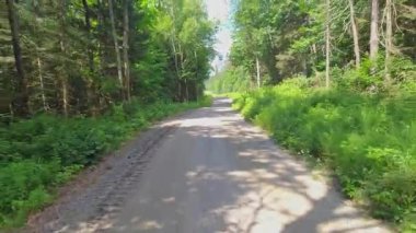 Sıcak temmuz ayında Burk 's Falls, Pickerel Gölü' nde boş çakıl taşı toprak yol manzaralı plaka. Kanada kır evinde tatil ve macera için karavan karavanı sürüyorum. Yol dışı.