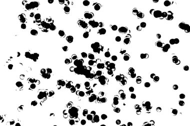 Parçacık dokusu, kütle grunge soyut iz beyaz arkaplan. Sıvı püskürt ya da bırak. Beyaz arka planda siyah mürekkep damlaları. Çember şeklinde siyah çamur sıçramış. Vektör.