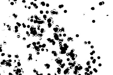 Parçacık dokusu, kütle grunge soyut iz beyaz arkaplan. Sıvı püskürt ya da bırak. Beyaz arka planda siyah mürekkep damlaları. Çember şeklinde siyah çamur sıçramış. Vektör.