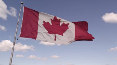 Direkte akçaağaç yaprağı olan Kanada bayrağı. Yazın mavi gökyüzünde dalgalanan Kanada bayrağı. Kanada bayrağı rüzgarda dalgalanıyor. 