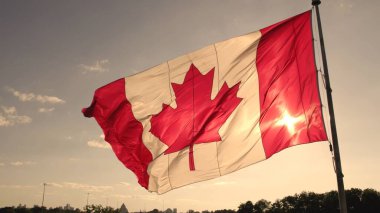 Kanada bayrağı altın saatte bayrak direğinde dalgalanıyor. Kanada bayrağı Toronto, Ontario, Kanada 'da sallanıyor.