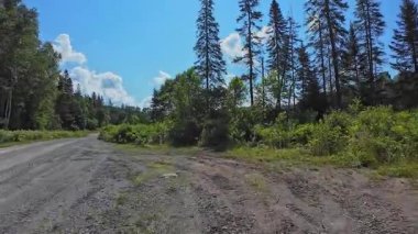 Yeşil çam ormanında çakıl yolu, sıcak Temmuz yaz şoförü plakası manzaralı. Kuzey yaban hayatında kontrol edilemeyen çakıl topraklarını dolaşarak taç topraklarını ortaya çıkardılar: Burk Şelaleleri, Ontario, Kanada - 15 Temmuz 2024