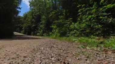 Sinematik araba sürücüsü POV ön tampon görüntüsü, sinema ve televizyon sanal üretimi için gerçekçi sürüş görüntüleri. LED ses, yeşil ekran ve ön projeksiyon için arkaplan.