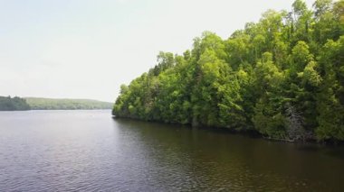 Baptist Gölü Crown sahili alçak hava görüntüsü. Suyu çevreleyen resim gibi bir orman. Doğa kaşifleri için barışçıl atmosfer, Bancroft, Ontario, Kanada.