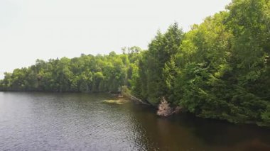 Baptist Gölü Crown sahili alçak hava görüntüsü. Suyu çevreleyen resim gibi bir orman. Doğa kaşifleri için barışçıl atmosfer, Bancroft, Ontario, Kanada.