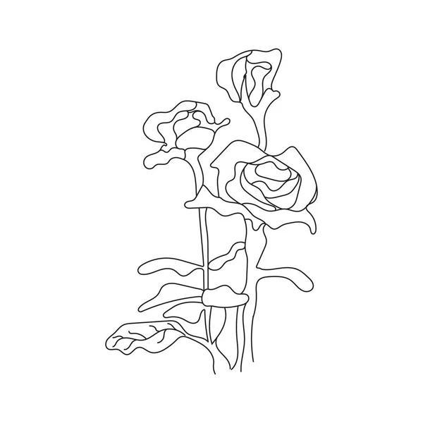 Arte Linha Preta Subiu Rosa Flor Desenhada Mão Flor Rosa —  Vetores de Stock