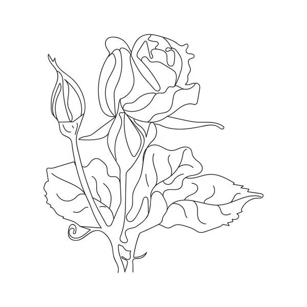 バラの花のアウトラインアート 黒手描きバラの花 — ストックベクタ