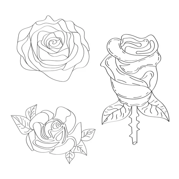 Rose Blume Auf Weißem Hintergrund Zeichenstil Rosenblütenlinie Kunst — Stockvektor