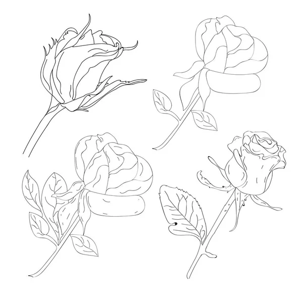 Τριαντάφυλλο Περίγραμμα Τέχνης Μαύρο Χρώμα Χειροποίητο Τριαντάφυλλο Λουλούδι Λευκό Φόντο — Διανυσματικό Αρχείο