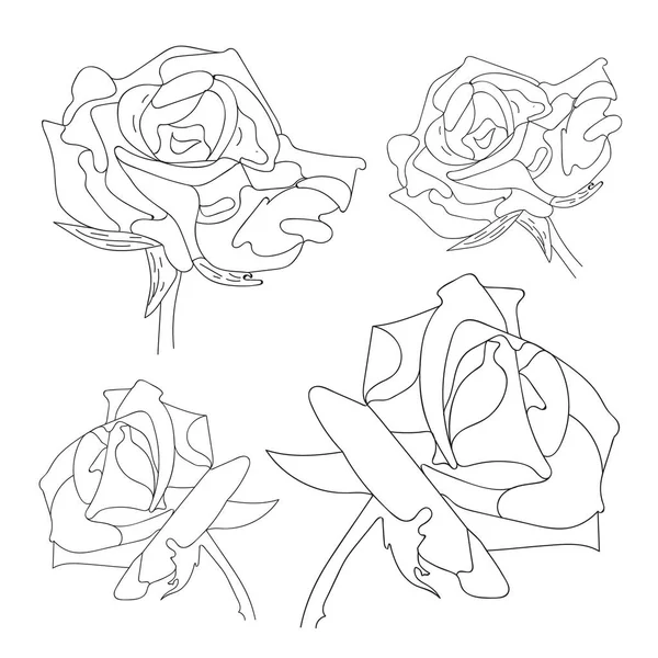 玫瑰矢量设置手工绘图 白色背景上的美丽花朵 黑色线条艺术的玫瑰 — 图库矢量图片