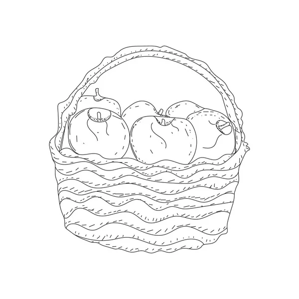 Beautiful Illustration Basket Full Fruits Line Art Mode Apple Basket — Stock Vector