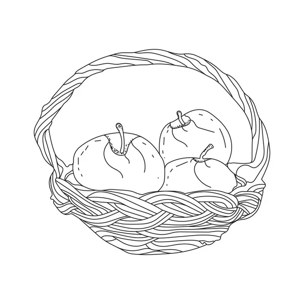 Illustration Basket Full Fruits Line Art Mode Apple Line Art — Stock Vector