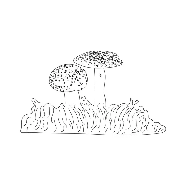 Funghi Autunno Foresta Raccolta Mano Disegno Grafico Moderno Una Linea — Vettoriale Stock