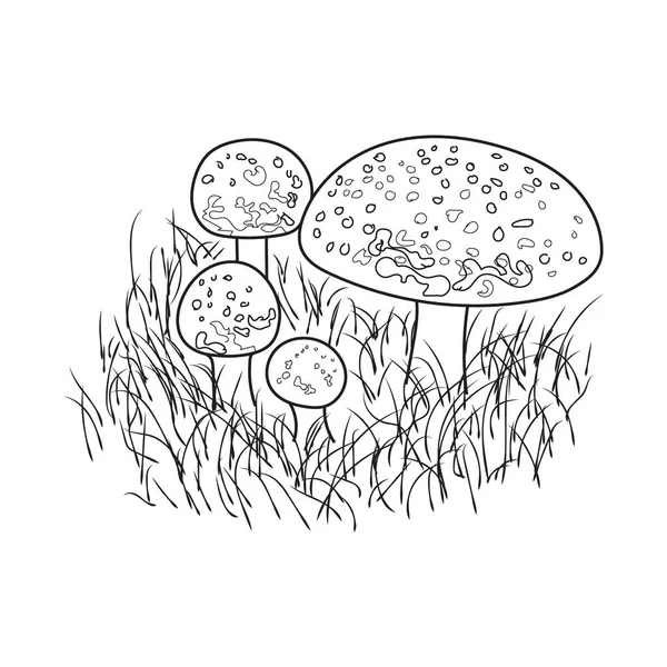 蘑菇线艺术 森林和收获的象征 黑色蘑菇图解 — 图库矢量图片