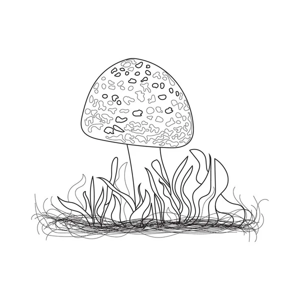 Mushrooms Line Art Symbol Autumn Forest Harvest Mushroom Illustration — Stock Vector