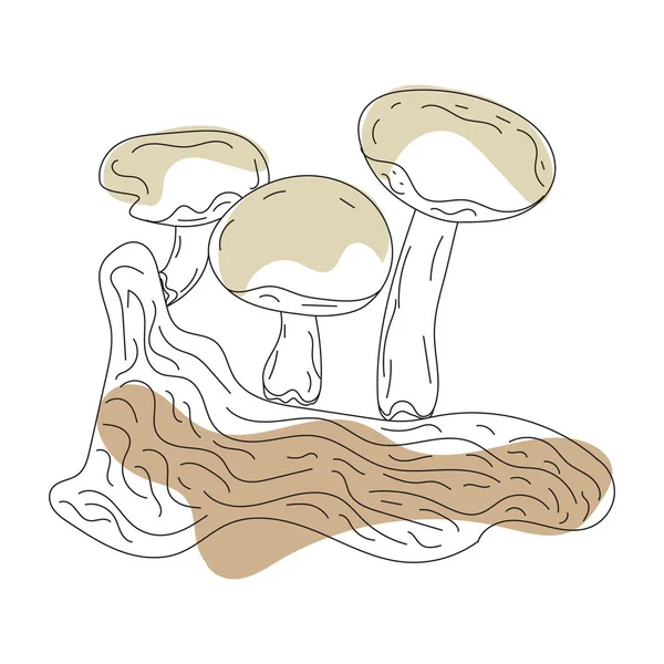 Linea Funghi Art Autunno Foresta Raccolta Mano Disegno Disegno Grafico — Vettoriale Stock