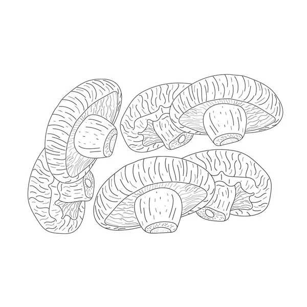 キノコ 収穫手描き キノコブラックラインアート — ストックベクタ