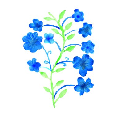 Beyaz arka planı suluboya olan renkli bir çiçek. Güzel çiçekler suluboya çizimi