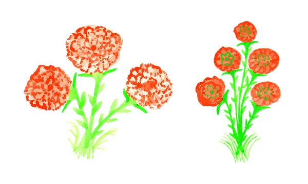 水彩の花のドローイング カラフルな水彩ベクトルフラワードローイング 水彩の花 — ストックベクタ