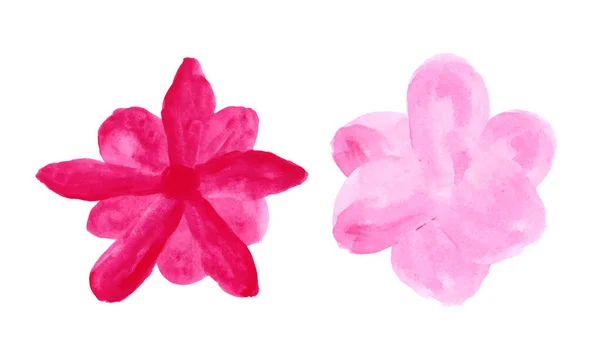 Два Розовых Цветка Белом Фоне Набор Акварельных Цветочных Иллюстраций Коллекция — стоковый вектор