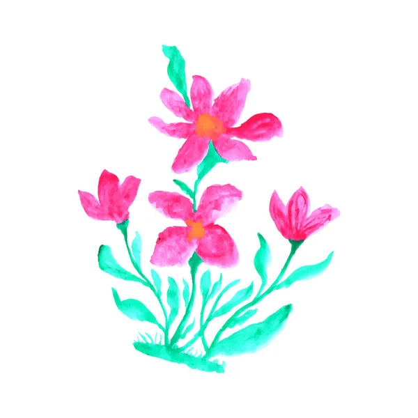 水彩画 白色背景上有粉色花瓣的花朵 水彩花设计图解 — 图库矢量图片