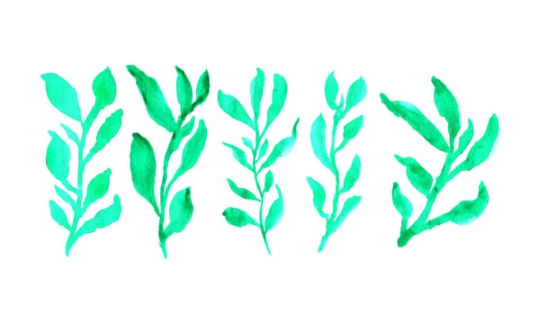 Uma Fileira Árvores Verdes Sobre Fundo Branco Plantas Desenhadas Mão —  Vetores de Stock
