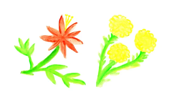 白い背景に黄色の花を描く 水彩の花セット 黄色の水彩画 — ストックベクタ