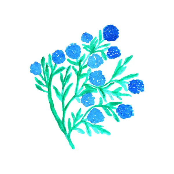 Beyaz Arka Planda Mavi Çiçeklerin Suluboya Çizimi Suluboya Yaratıcı Vektör — Stok Vektör